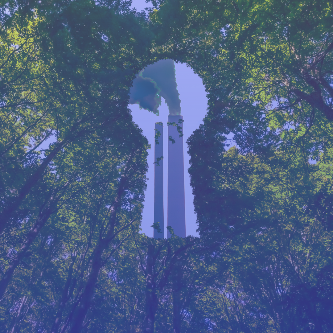 Greenwashing: a ilusão por trás das práticas verdes e da sustentabilidade